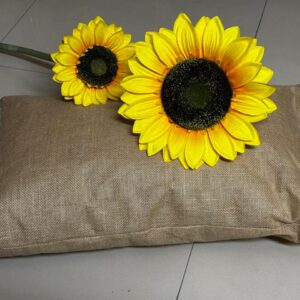 Organic pillow (Sleeping – Large)